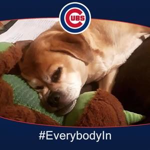 Meet your Posher, Becky